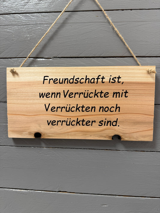 Holzschild mit dem Spruch „Freundschaft ist, wenn Verrückte mit Verrückten noch verrückter sind“ und Sisalband