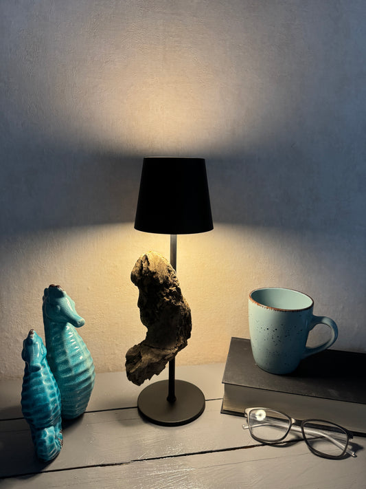 Treibholzlampe mit warmen Licht eingeschaltet