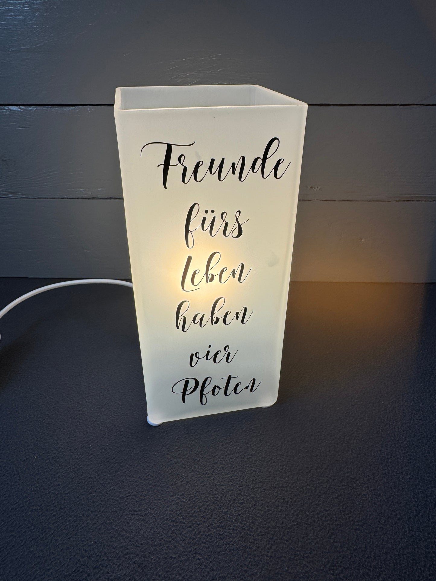 Tierfreund-Geschenk: handgefertigte Glaslampe mit Pfotenmotiv