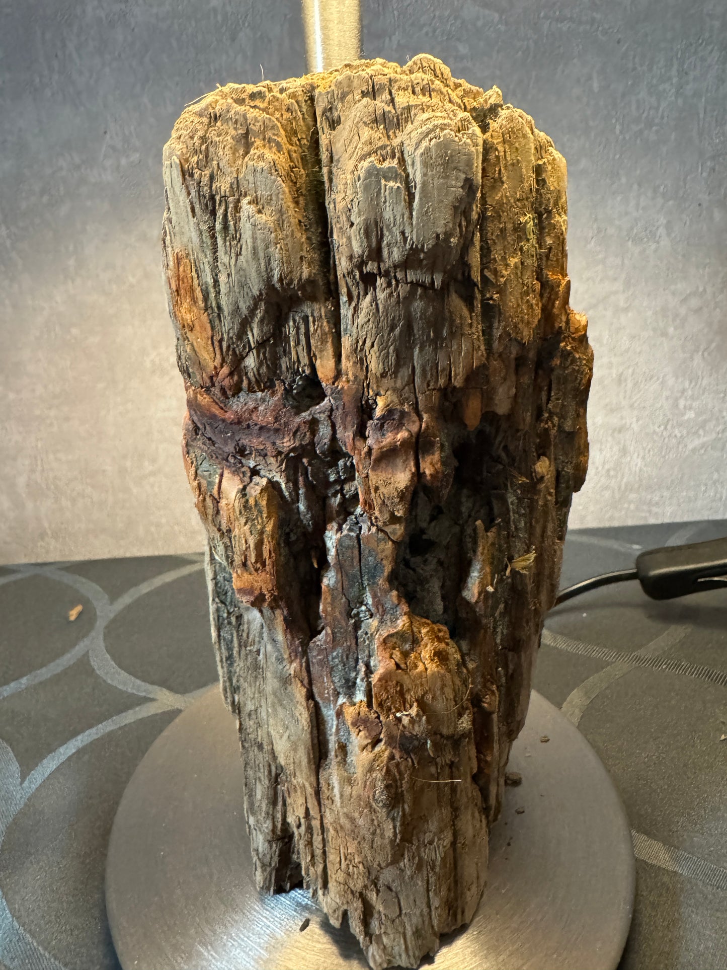 Detailansicht Treibholzlampe Nordseelicht Eidersperrwerk mit Holzstruktur