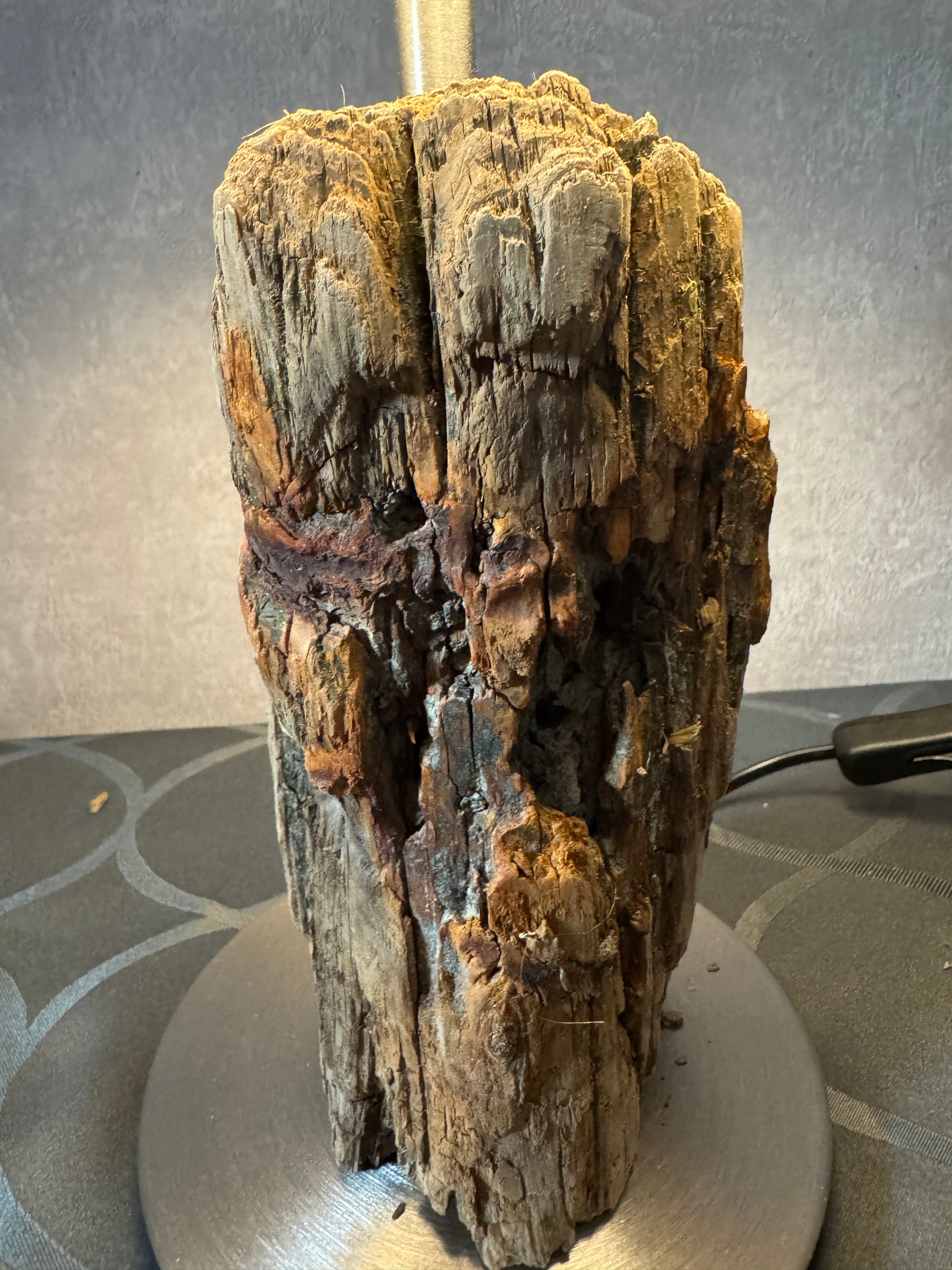 Detailansicht Treibholzlampe Nordseelicht Eidersperrwerk mit Holzstruktur