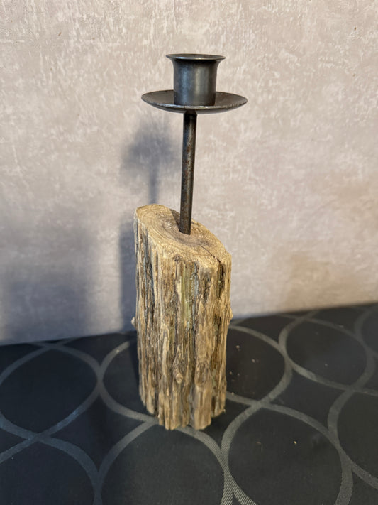 Historisches Küstenschutzholz von der Nordsee bei Büsum