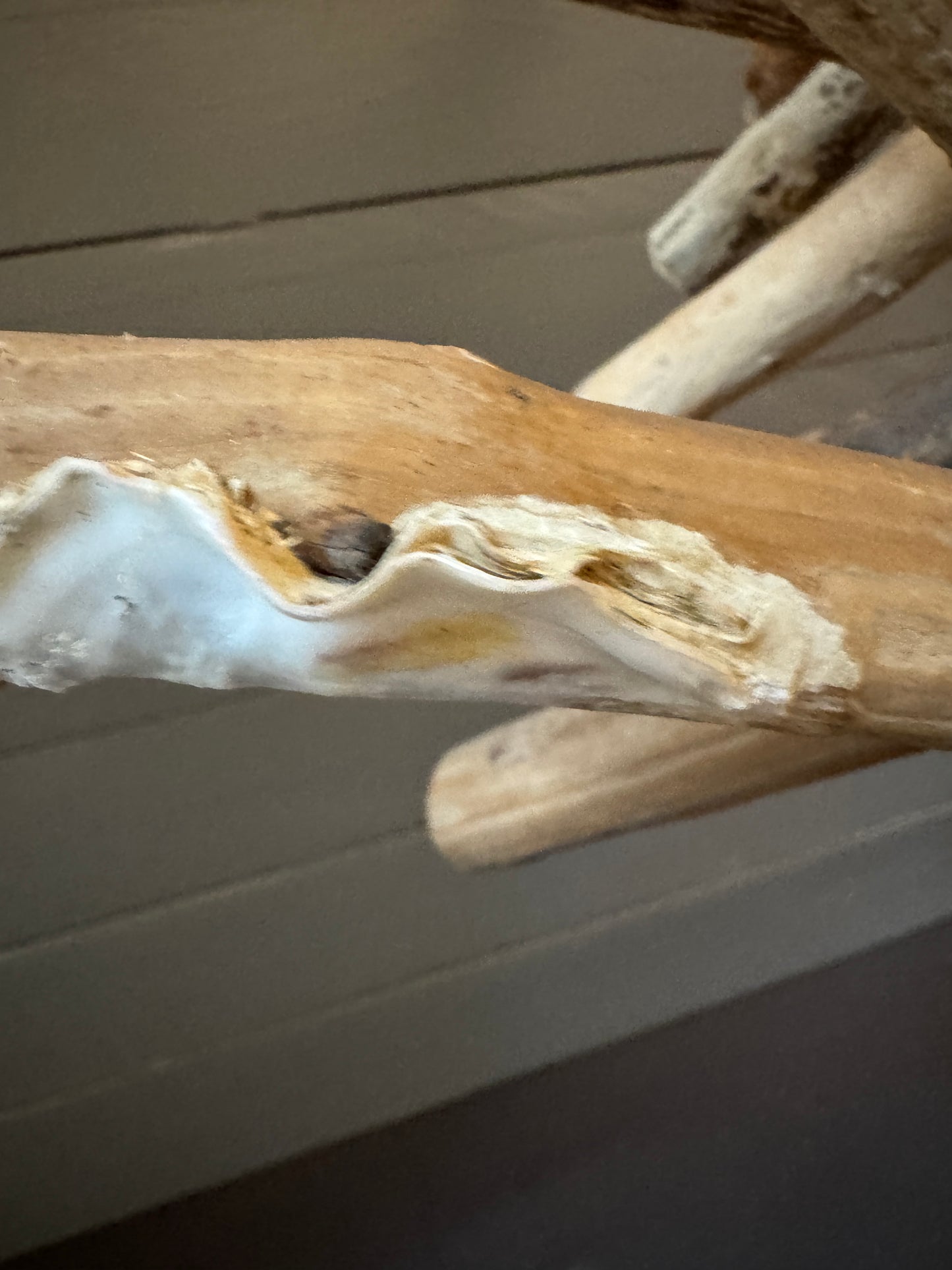 Kleiner Tannenbaum aus Treibholz – Handgefertigte Weihnachtsdeko im maritimen Stil