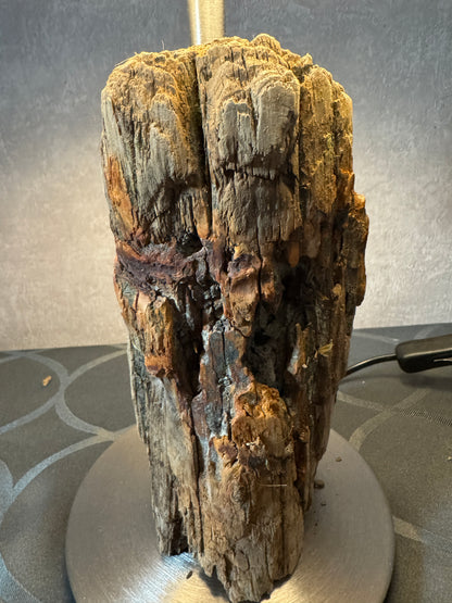 Detailansicht Treibholzlampe Nordseelicht Eidersperrwerk mit Holzstruktur