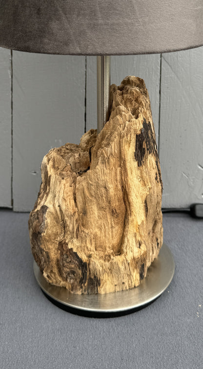 Detailaufnahme: Naturstruktur des Ostsee-Holzes