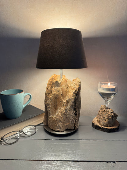 Treibholzlampe mit schwarzem Lampenschirm 20 cm modern leuchtend