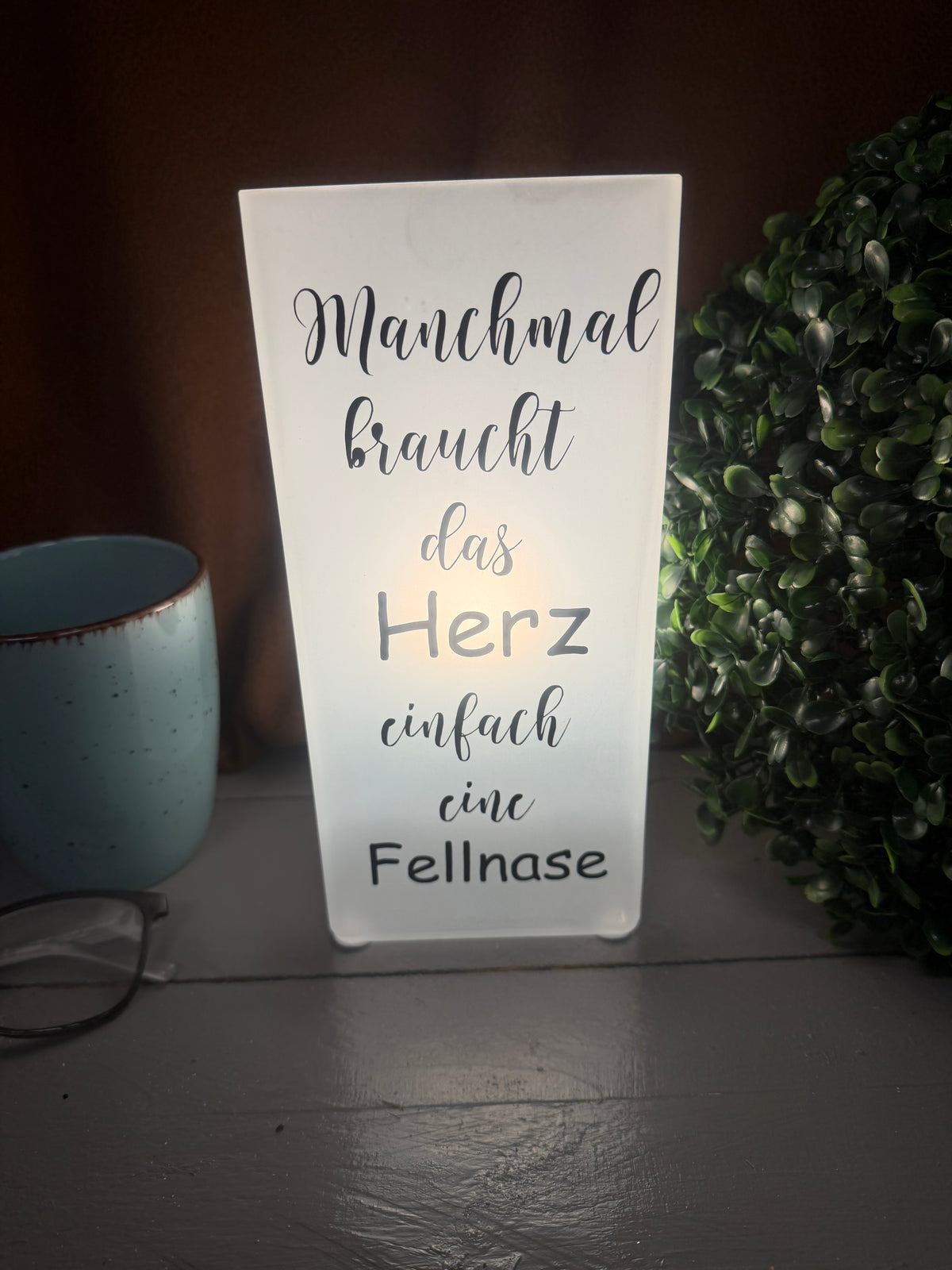 Personalisierte Fellnasen-Glaslampe als Geschenk für Tierliebhaber.