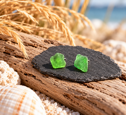 Zwei grüne Meerglas-Ohrstecker auf dunklem Stein und Treibholz in maritimer Umgebung