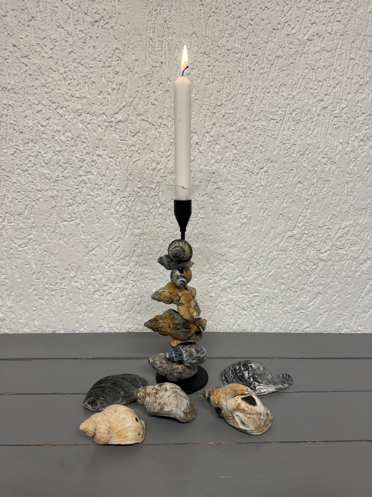 Detailaufnahme beweglicher Wellhornschnecken auf Kerzenständer
