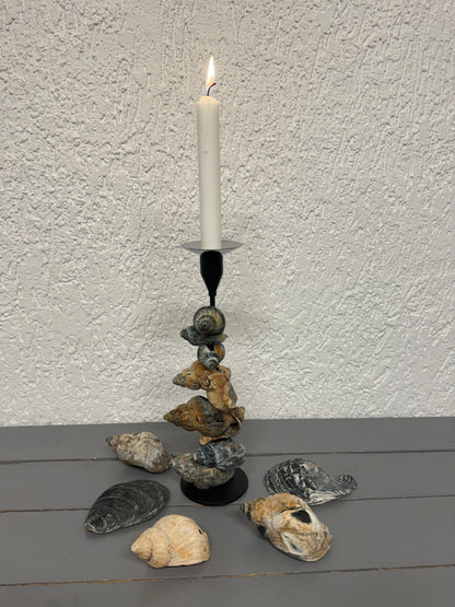 Handgefertigter Kerzenständer mit Wellhornschnecken von Blåvand mit Tropfschutz in Metall