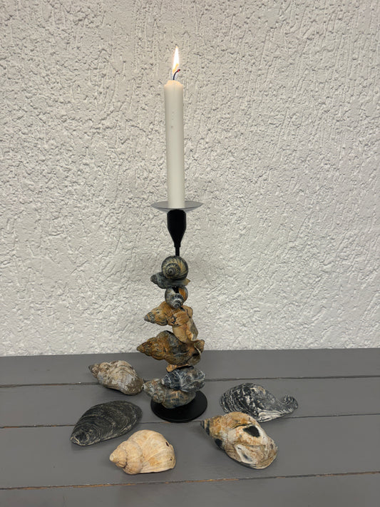 Handgefertigter Kerzenständer mit Wellhornschnecken von Blåvand mit Tropfschutz in Metall