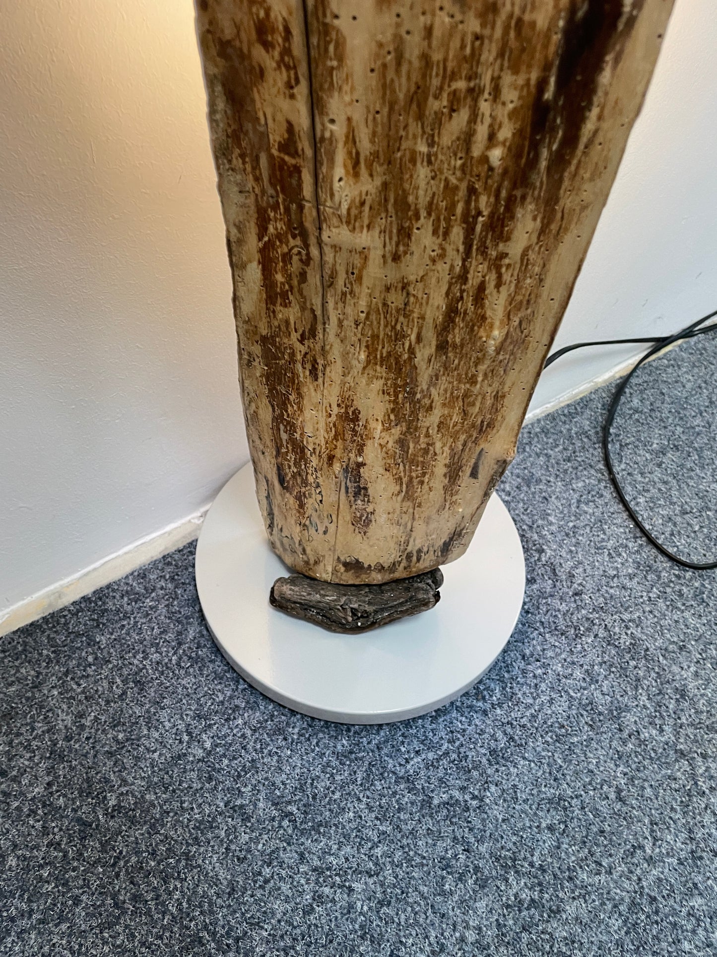 Treibholzlampe aus der Eckernförder Bucht bei Fischleger