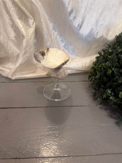 Handgefertigter Schmuckhalter aus Austernschale und Schneckenhaus von der Seite
