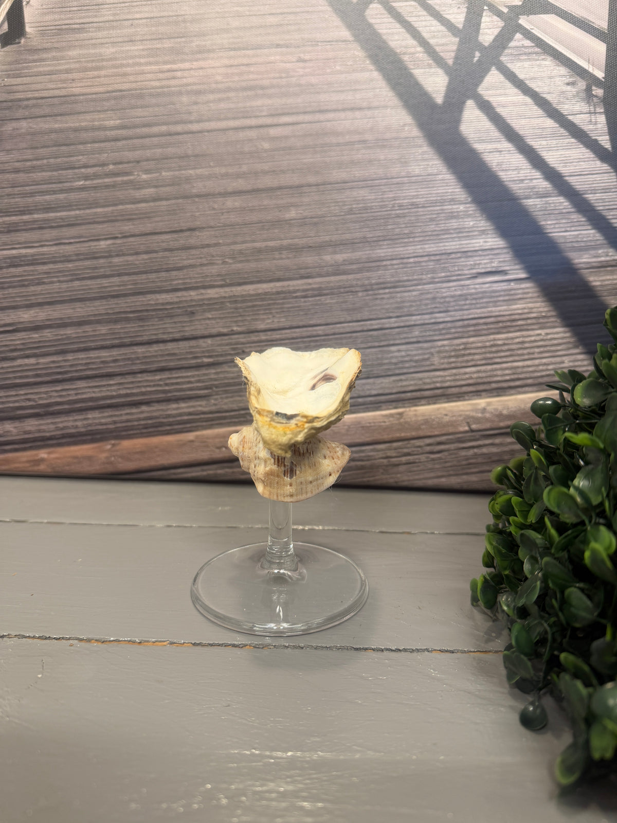 Maritimer Schmuckhalter Strandperle aus Austernschale und Glasfuß von der rechten Seite