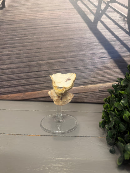Maritimer Schmuckhalter Strandperle aus Austernschale und Glasfuß von der rechten Seite