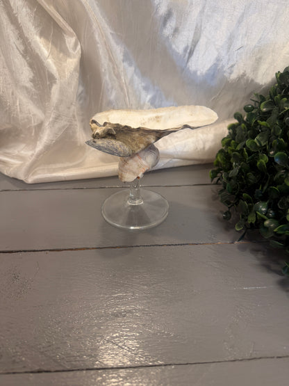 Upcycling-Schmuckhalter mit echter Nordsee-Austernschale und altem Weinglas