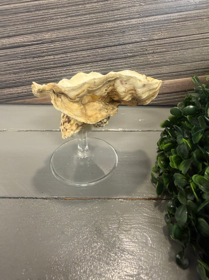 Detailansicht des Upcycling-Schmuckhalters Meeresliebe mit natürlicher Austernschale