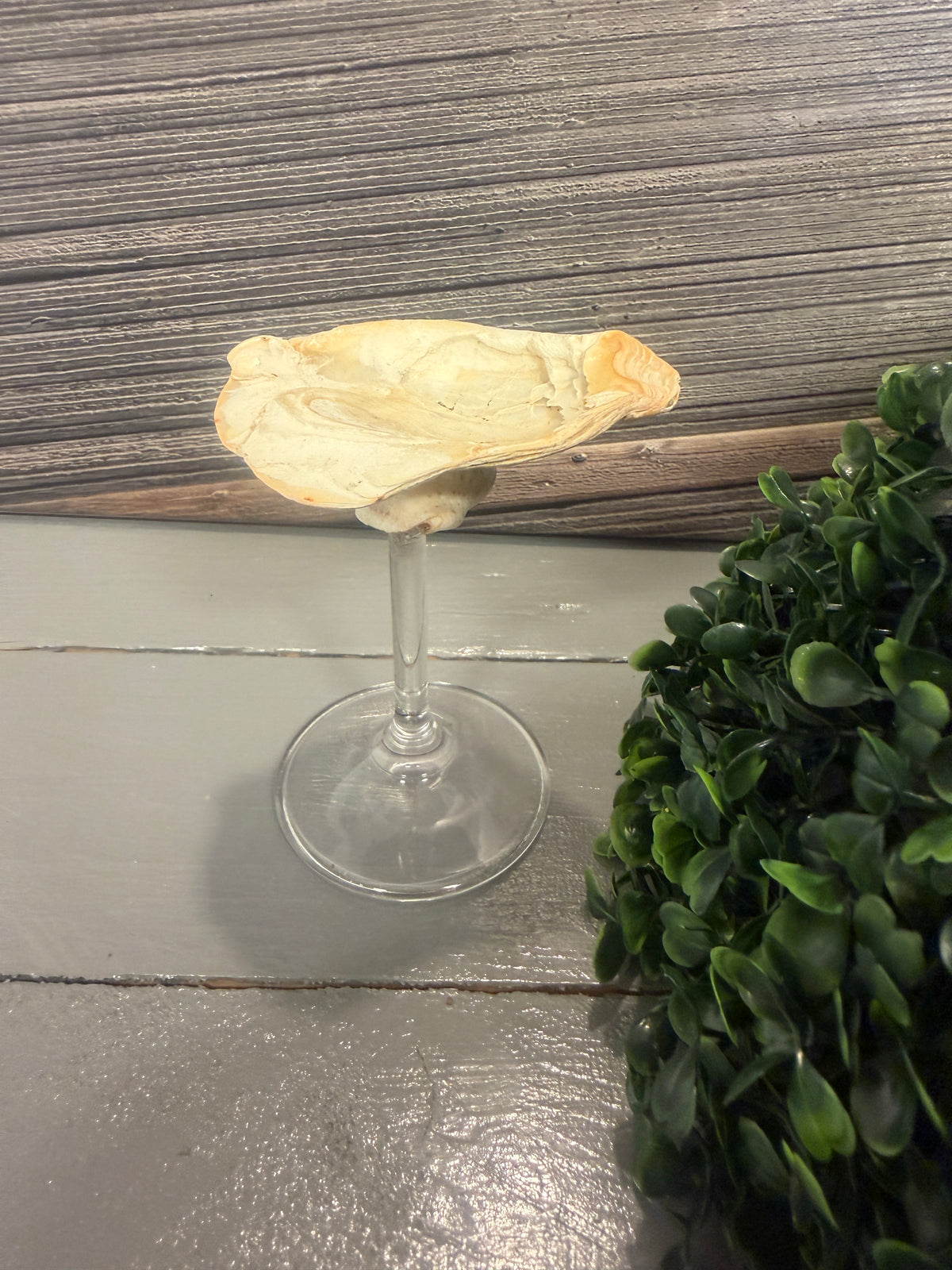 Detailansicht des Schmuckhalters Muschelglück mit natürlicher Austernschale und Schneckenhaus