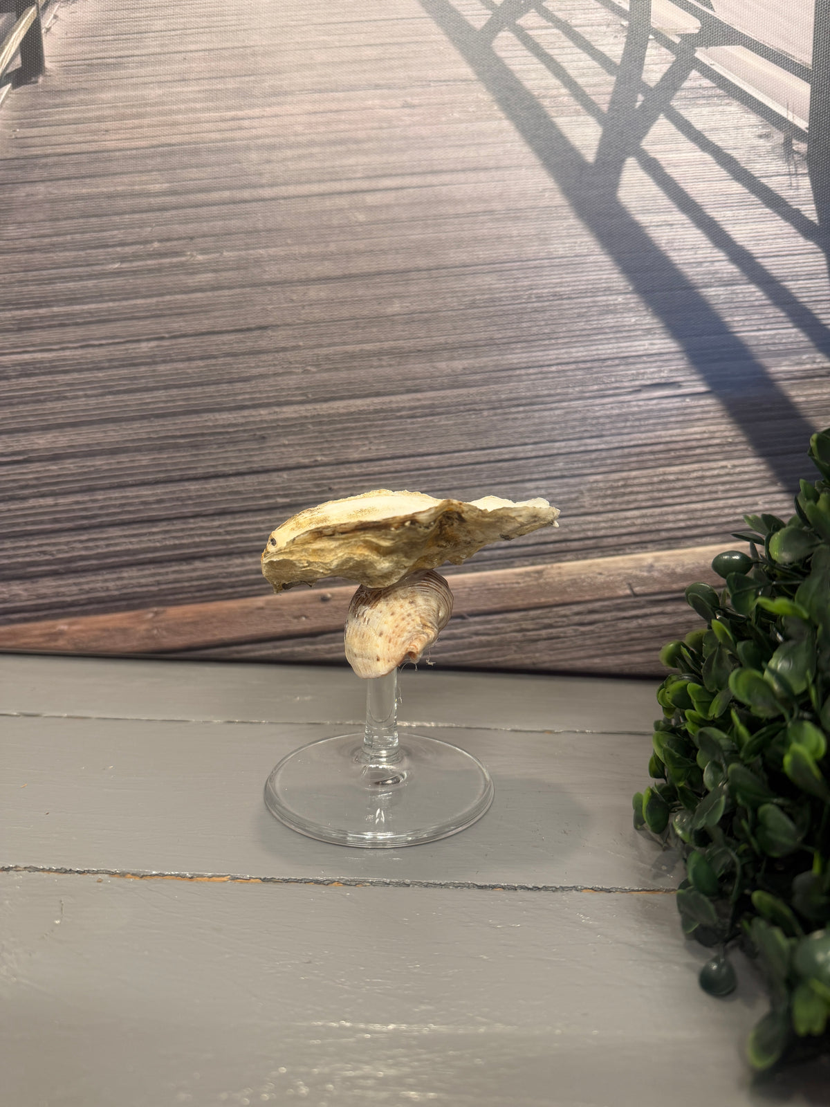 Upcycling-Schmuckhalter Strandperle mit echter Nordsee-Austernschale und dekorativem Schneckenhaus