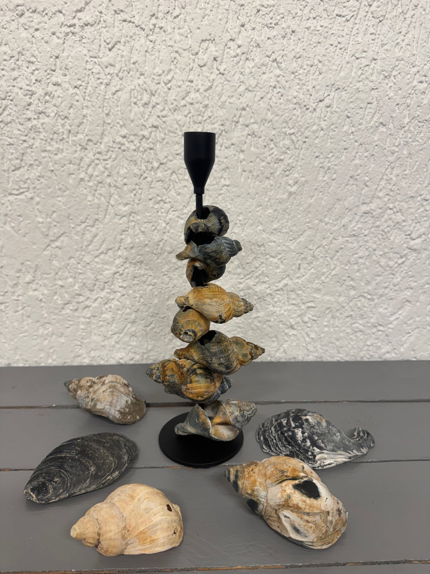 Kerzenständer aus Wellhornschnecken als Küsten-Dekoration