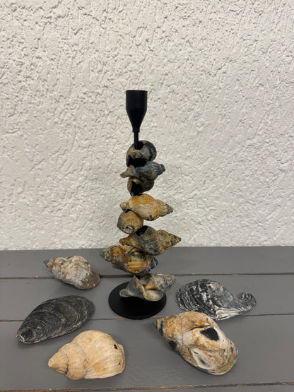 Kerzenständer aus Wellhornschnecken als Küsten-Dekoration
