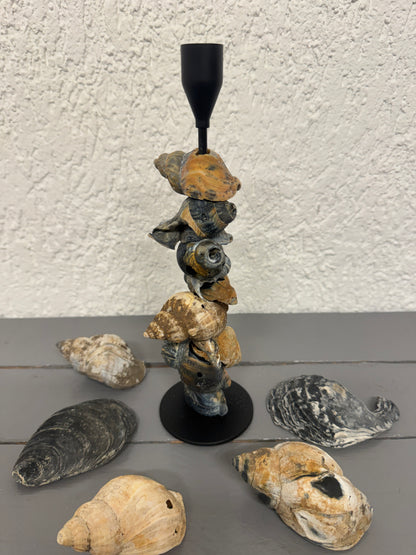Kerzenständer mit Wellhornschnecken von der Nordseeküste bei Blåvand ohne Kerze